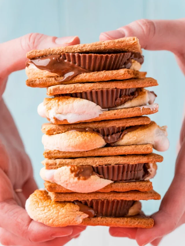 Air Fryer Peanut Butter & Jelly S'mores Rec