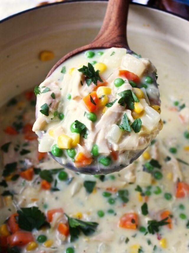 Chicken Pot Pie Soup (4)