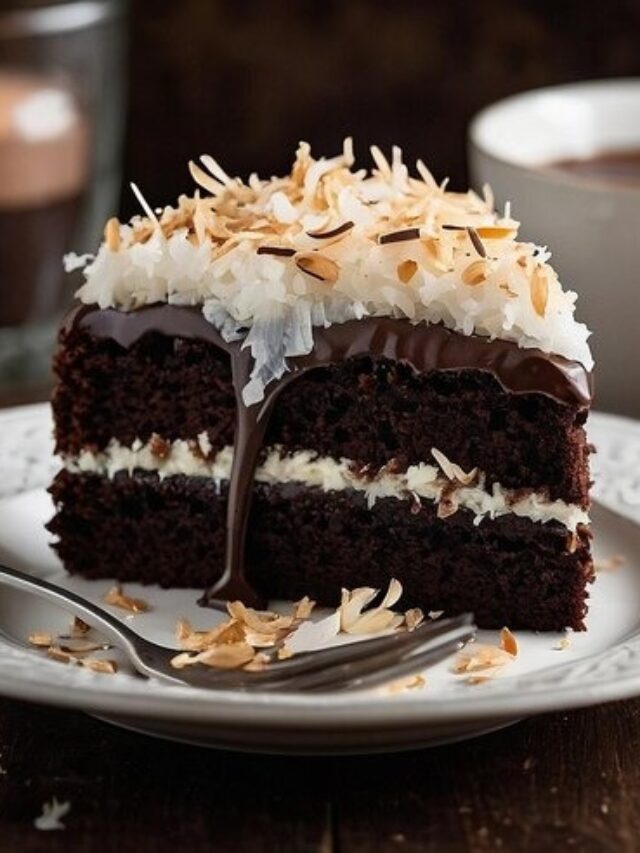 Chocolate Coconut Cake (3)