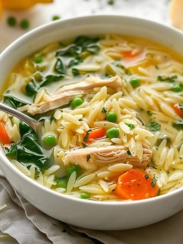 Crock Pot Chicken Noodle Soup (6)